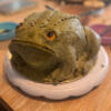 murgh